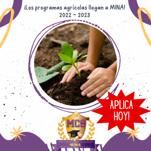 MINA - Ag